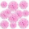 20 PCS Pink Tissue Paper Pom Poms, Tissue Pom Poms Flowers, Sizes of 6", 10", 12", 14" Hanging Paper Flower Ball for Wedding, Birthday, Valentine's Day, Baby Shower Party Decor